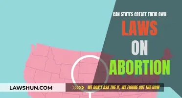 Creating Abortion Laws: State Powers Examined