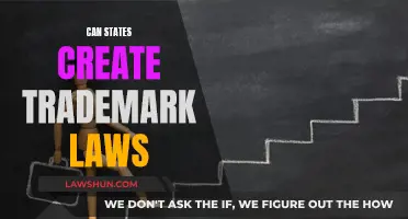 Trademark Laws: State Powers Examined