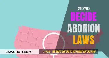 Abortion Laws: State Powers Examined