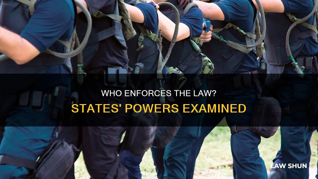 can states enforce federal laws