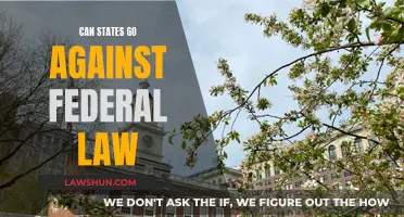 States' Powers: Federal Law Opposition, Possible?