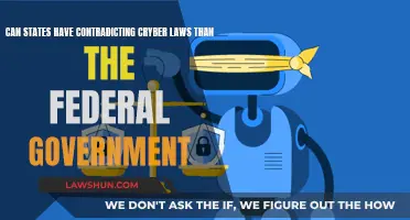 States' Cyber Laws: Contradict or Complement Federal Rules?