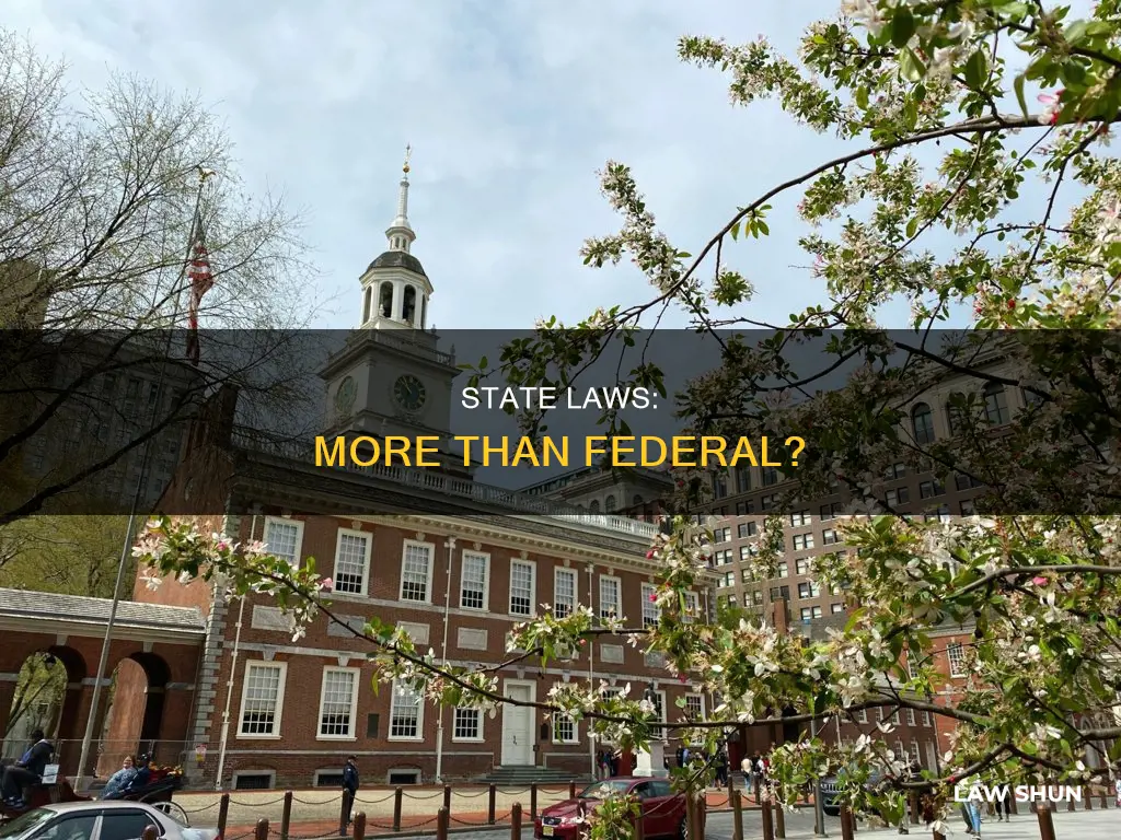 can states have more laws than federal