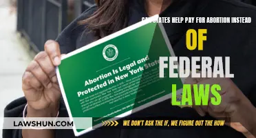 States' Role in Abortion Funding: Exploring Alternatives