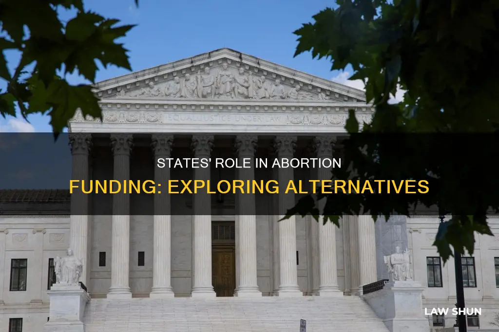 can states help pay for abortion instead of federal laws