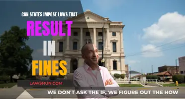 Imposing State Laws: Fines and Their Limits