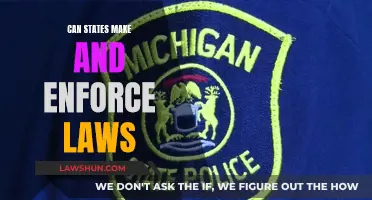 Making & Enforcing Laws: States' Powers Explored