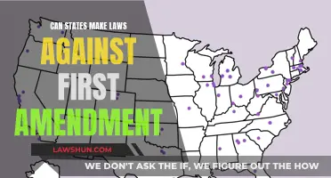 The First Amendment: Can States Legislate Against It?