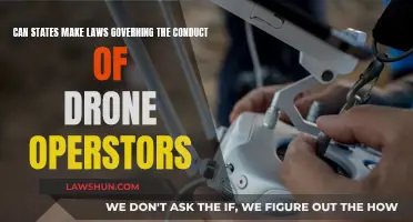 Drone Laws: States' Rights to Regulate the Skies