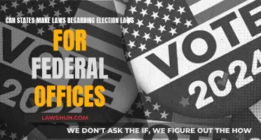 Who Governs Election Laws for Federal Offices?