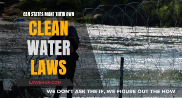 Water Laws: State vs Federal Power