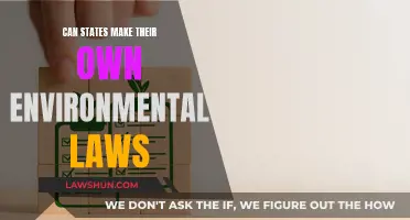 Environmental Laws: State vs Federal Power