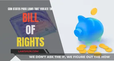 States' Laws: Violating or Protecting the Bill of Rights?