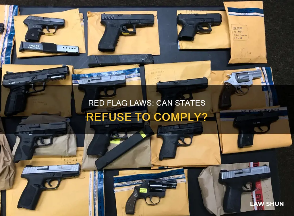 can states refuse red flag laws