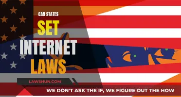 Internet Laws: States' Power Play?