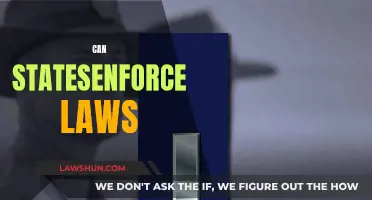 Enforcing Laws: State Powers Examined