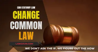 How Statute Law Alters Common Law: A Complex Dance