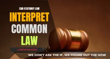Statutory Law Interpreting Common Law: A Complex Relationship