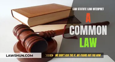 Statute Law: Interpreting Common Law Complexities