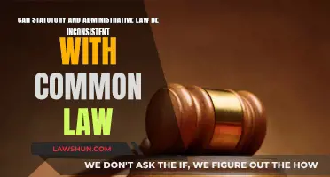 The Evolution of Law: Inconsistencies and Common Law