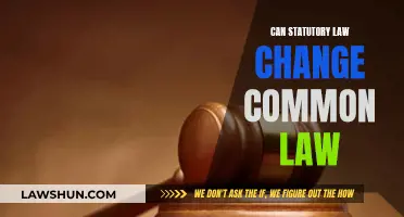 How Statutes and Common Law Interact and Change Each Other