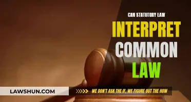 Statutory Law: Interpreting Common Law?