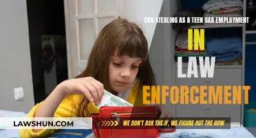 Stealing as a Teen: A Future in Law Enforcement?