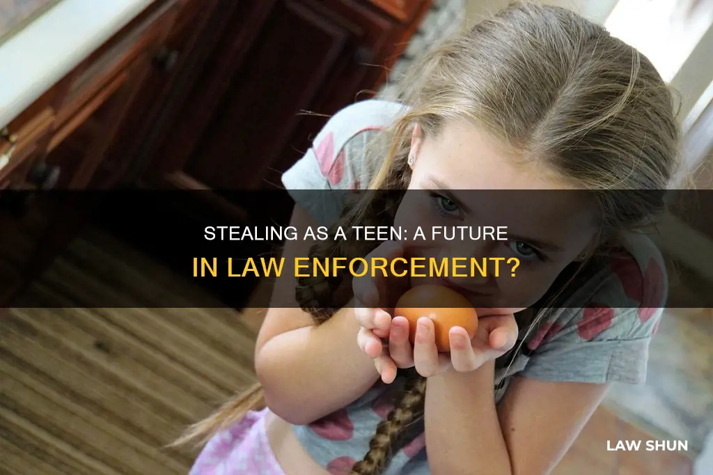 can stealing as a teen bar employment in law enforcement