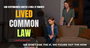 Stepchildren's Rights: Contesting a Will of Common-Law Parents