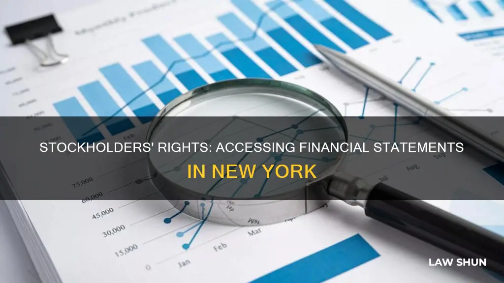 can stockholders get copy of financial statements under ny law