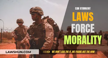 Laws and Morality: Can They Be Enforced?