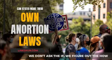 Who Decides Abortion Laws: States or Federal Government?