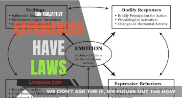 Do Laws Govern Our Individual, Inner Experiences?
