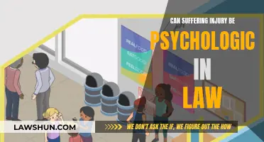 Psychological Injuries: Legal Recognition and Redress