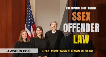 Supreme Court's Power: Abolishing Sex Offender Laws