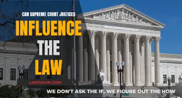 Justices' Power: Influencing US Law