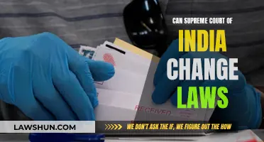 The Supreme Court of India: Law Changer or Interpreter?