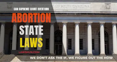 The Supreme Court's Power Over State Abortion Laws