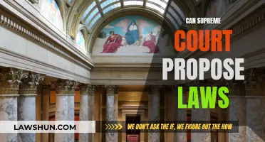 The Supreme Court's Law-Making Powers Explored