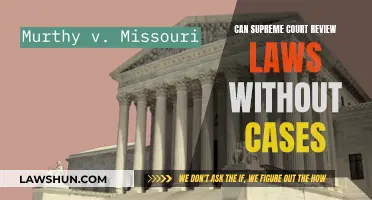Supreme Court's Power: Reviewing Laws Without Cases