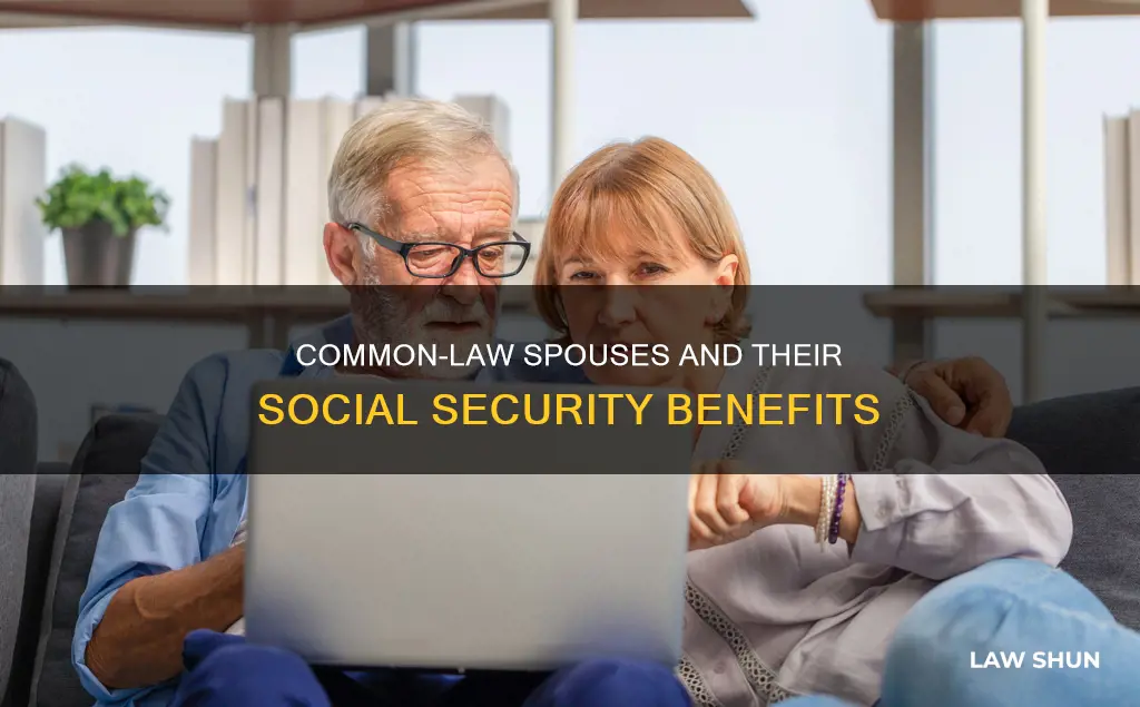 can surviving spouse collect social security if common law