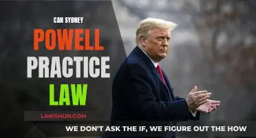 Sydney Powell: Disbarred or Still Practicing Law?