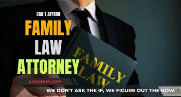 Family Law: Navigating Legal Options Without an Attorney