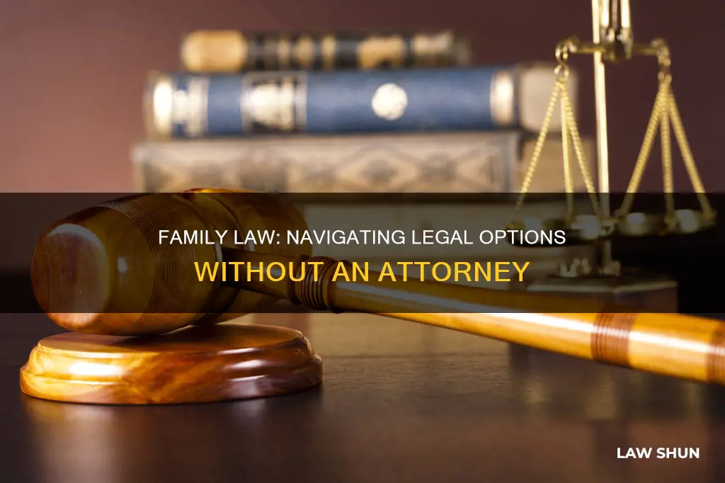 can t afford family law attorney