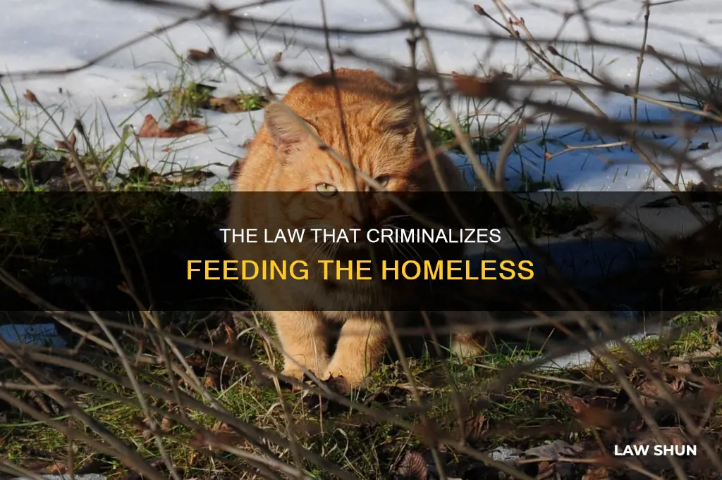 can t feed the homeless law