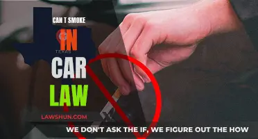Smoking in Cars: New Laws and Your Rights