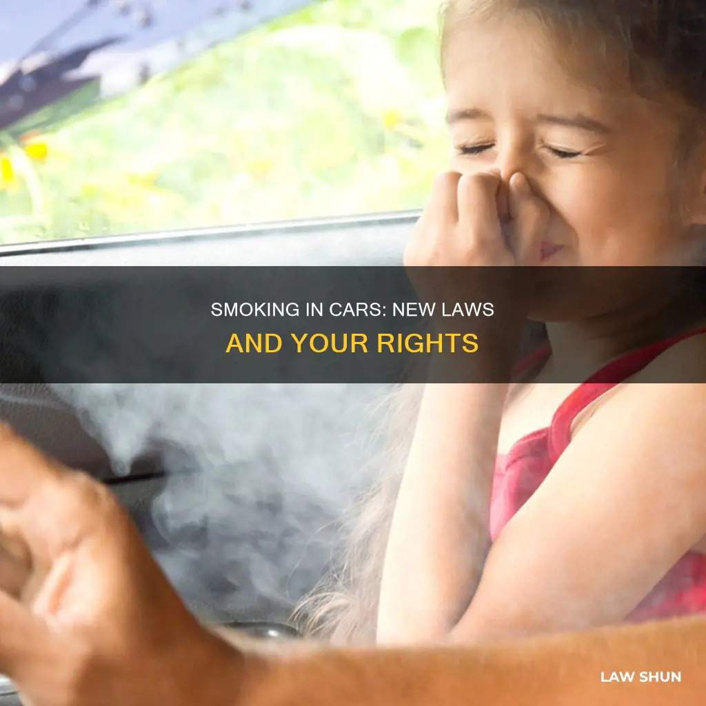 can t smoke in car law