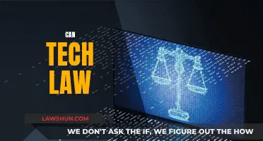 Tech Law: Friend or Foe?