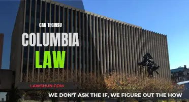 Teginsu Columbia Law: A Viable Option?