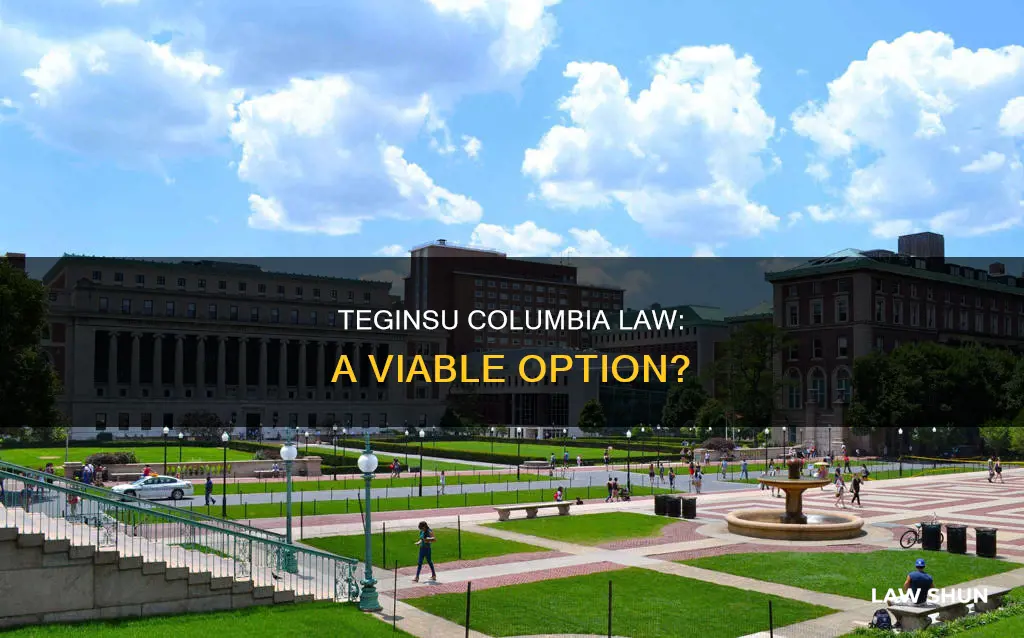 can teginsu columbia law